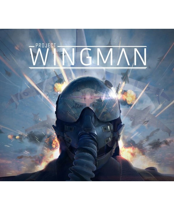 Project Wingman Steam Key EUROPE